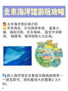 北京海洋馆表演时间？北京海洋馆表演场次？  第5张