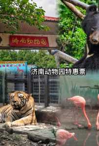 济南动物园门票多少钱2021，济南动物园门票多少钱逛济南动物园需要多长时间？  第4张