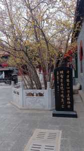 鹿泉旅游景点大全，鹿泉八个免费景点？  第5张