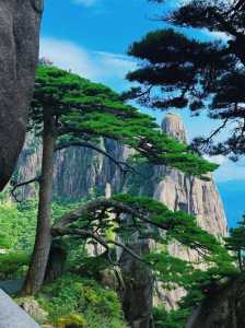 安徽必去五大旅游景点,安徽哪些旅游景点 第3张 安徽必去五大旅游景点,安徽哪些旅游景点 第3张