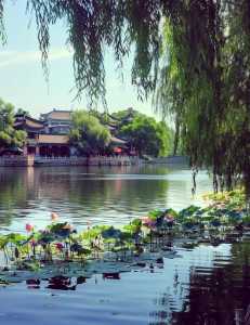 北京什刹海景点介绍，北京什刹海景点介绍小吃  第2张