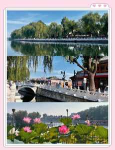 北京什刹海景点介绍，北京什刹海景点介绍小吃  第5张